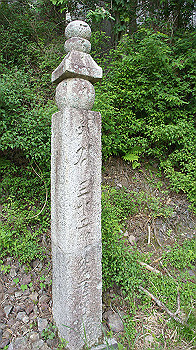 dsc00515_thumb.jpg