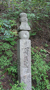 dsc00516_thumb.jpg