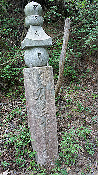 dsc00518_thumb.jpg