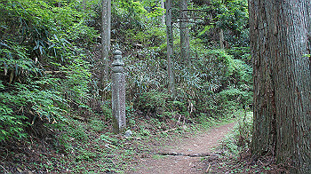 dsc00519_thumb.jpg