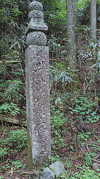 dsc00520_thumb.jpg