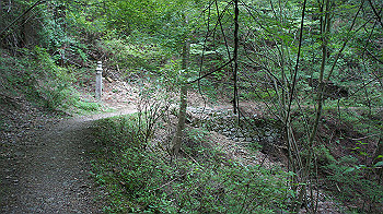 dsc00521_thumb.jpg