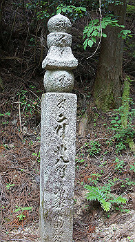 dsc00522_thumb.jpg
