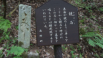 dsc00525_thumb.jpg