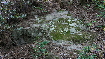 dsc00526_thumb.jpg