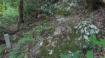 dsc00527_thumb.jpg