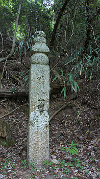 dsc00528_thumb.jpg