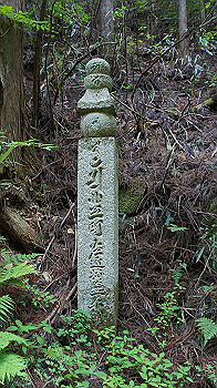 dsc00536_thumb.jpg