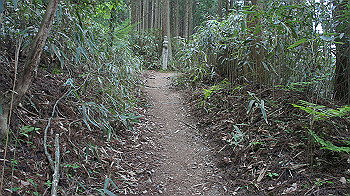 dsc00539_thumb.jpg
