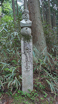 dsc00540_thumb.jpg