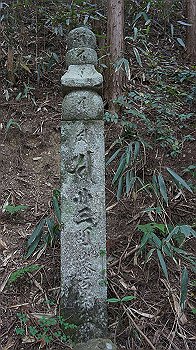 dsc00542_thumb.jpg