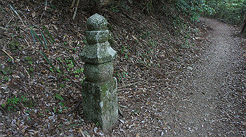 dsc00547_thumb.jpg