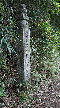 dsc00548_thumb.jpg