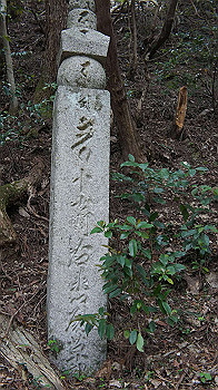 dsc00553_thumb.jpg