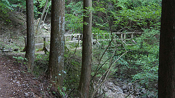dsc00554_thumb.jpg