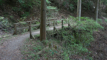 dsc00558_thumb.jpg
