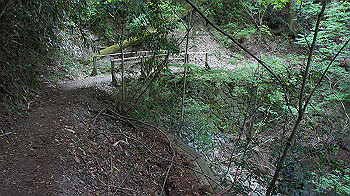 dsc00559_thumb.jpg