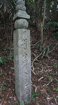 dsc00561_thumb.jpg