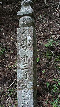 dsc00563_thumb.jpg