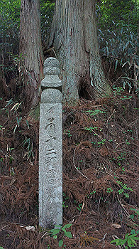dsc00564_thumb.jpg