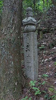 dsc00567_thumb.jpg