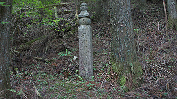 dsc00568_thumb.jpg