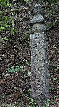 dsc00569_thumb.jpg