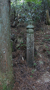 dsc00570_thumb.jpg