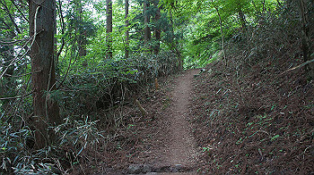 dsc00571_thumb.jpg