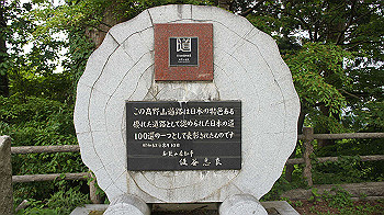 dsc00578_thumb.jpg