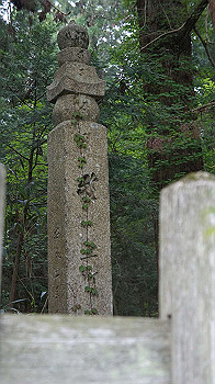 dsc00589_thumb.jpg