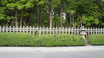 dsc00593_thumb.jpg