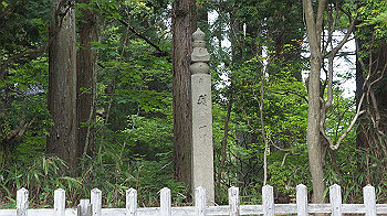 dsc00594_thumb.jpg