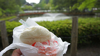 dsc00604_thumb.jpg