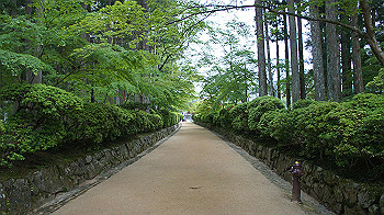 dsc00608_thumb.jpg