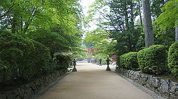 dsc00609_thumb.jpg