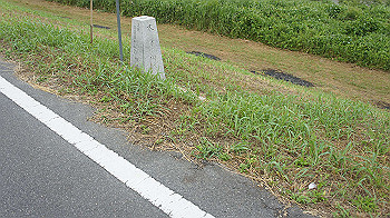 dsc00079_thumb.jpg