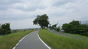 dsc00102_thumb.jpg