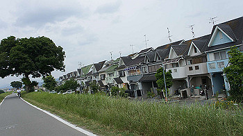 dsc00103_thumb.jpg
