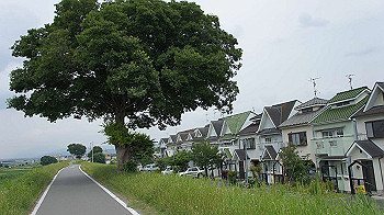 dsc00104_thumb.jpg