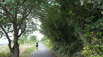 dsc00114_thumb.jpg
