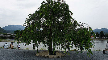 dsc00138_thumb.jpg