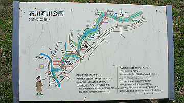 dsc00010_thumb.jpg