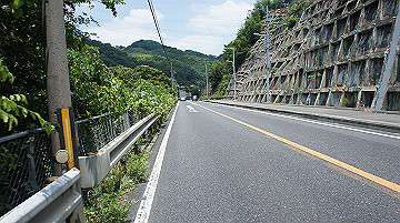 dsc00018_thumb.jpg