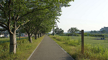 dsc00236_thumb.jpg