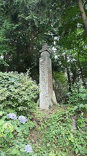 dsc00029_thumb.jpg