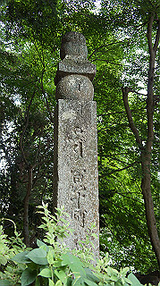 dsc00031_thumb.jpg
