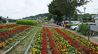 dsc00055_thumb.jpg