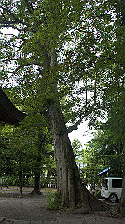 dsc00138_thumb.jpg