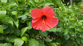 20140831006_thumb.jpg